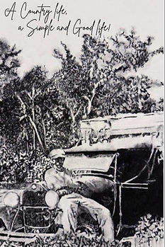 A Country Life brochure 