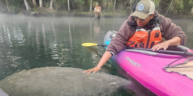 Michelle with manatee