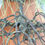 Thumbnail: 'WEEPING WILLOW'