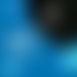 From Intern to Senior Business Developer: Finding Growth Through Sales.