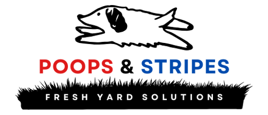 Poops & Stripes logo in color