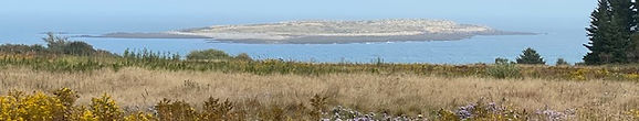 IMG_3633.jpg