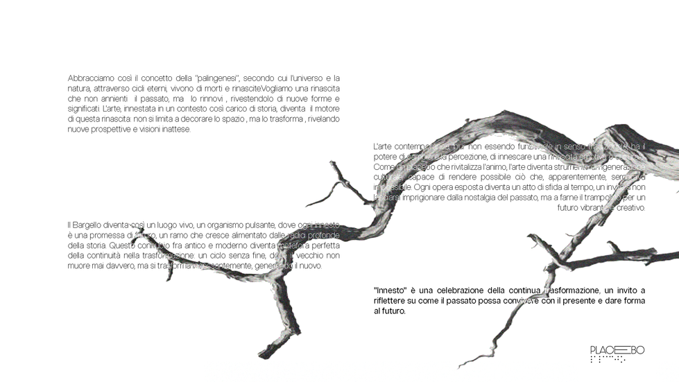 Testo curatoriale Pt.2 