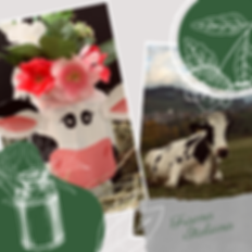 Frisona Italiana (2).png