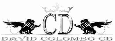 17.Logo Gris Brilli Brilli.gif