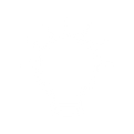 custom solutions icon.png