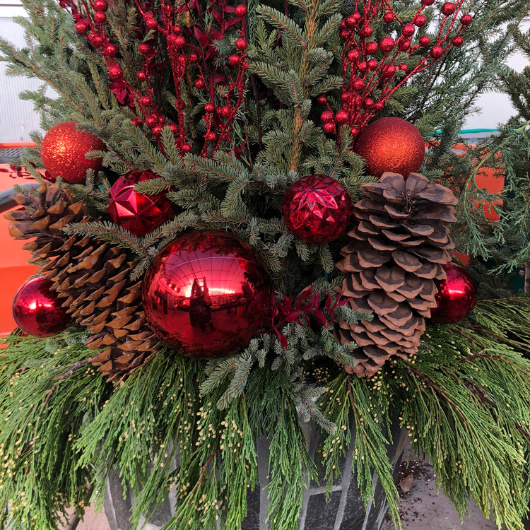 Del S Garden Center Spencer Ia