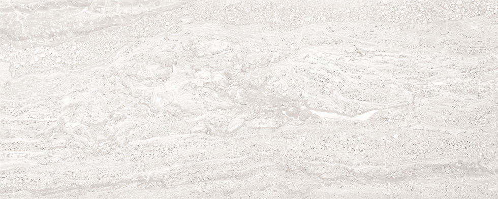 Trevise_Grigio Chiaro_20x50.jpeg