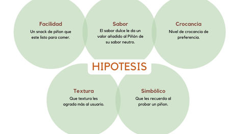 PIÑITOS DE MIEL_HIPOTESISDETECTADAS