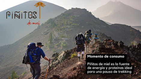 PIÑITOS DE MIEL_MOMENTODECONSUMO