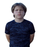 official certified gova stamp.png