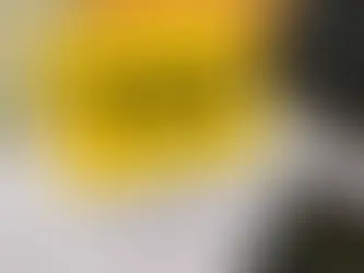 TDS Section Comparison Income tax Act 1961 Vs 2025