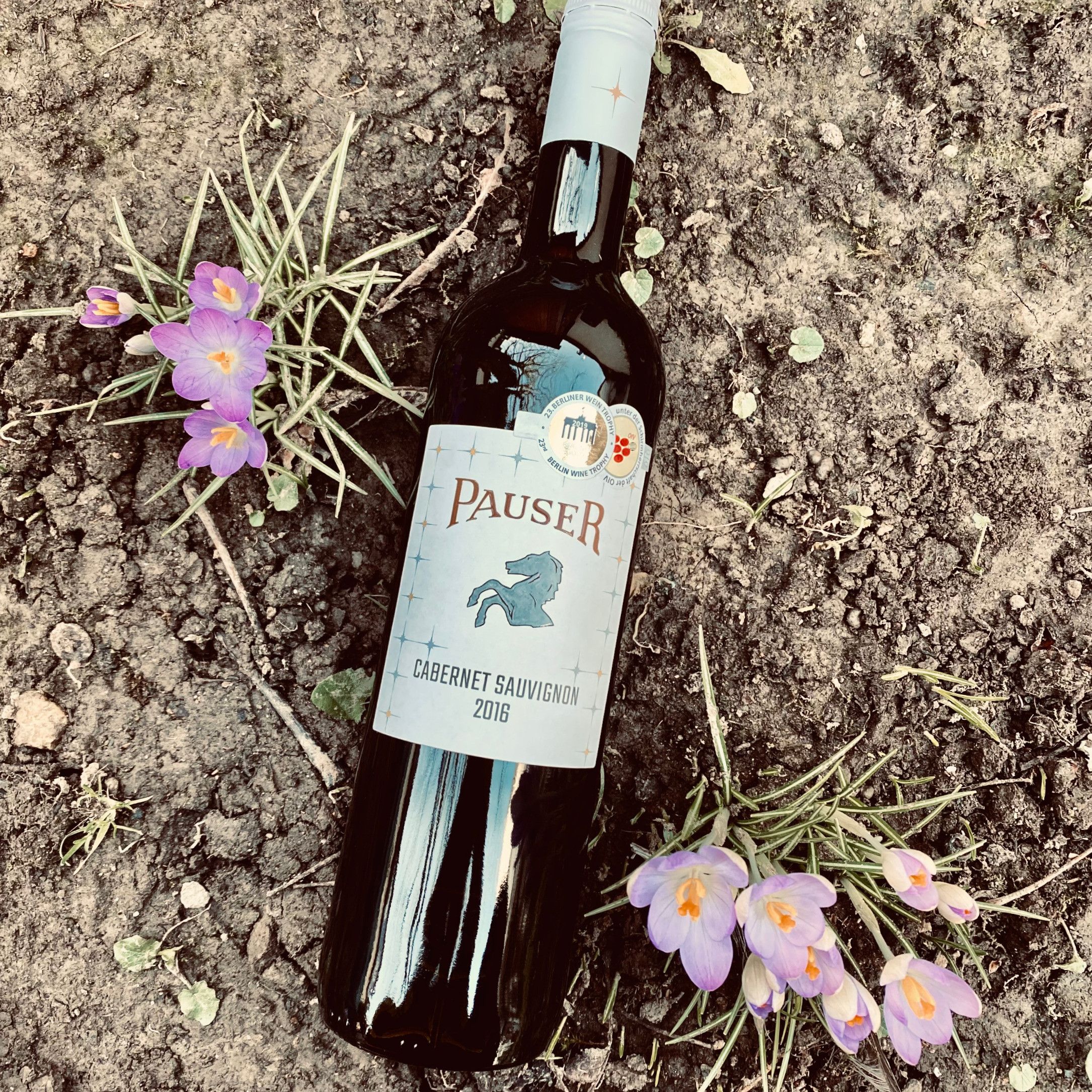 Pauser, Cabernet Sauvignon
