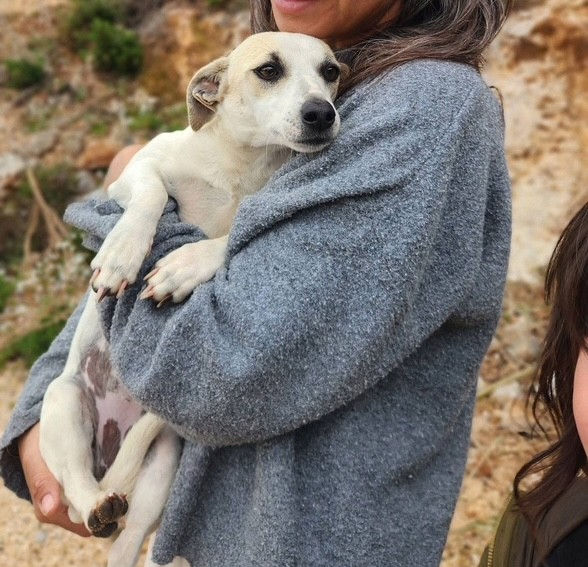 aa5094a7-4434-48f9-a442-0a3c7e87534f_edited