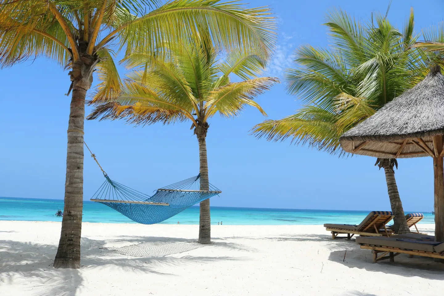 Hammock between palm trees on a white beach