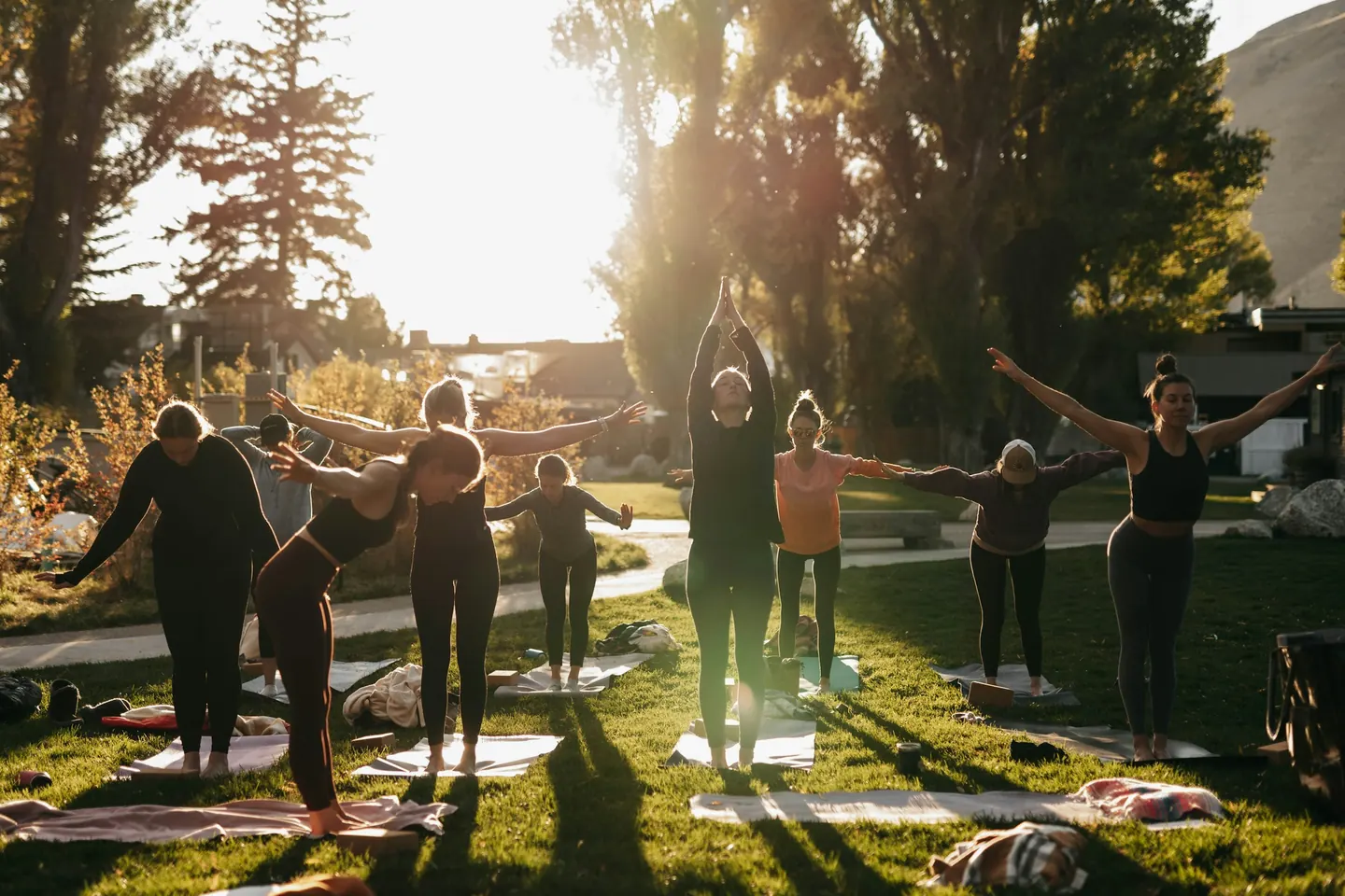 Group doing yoga outdoors on a lawn