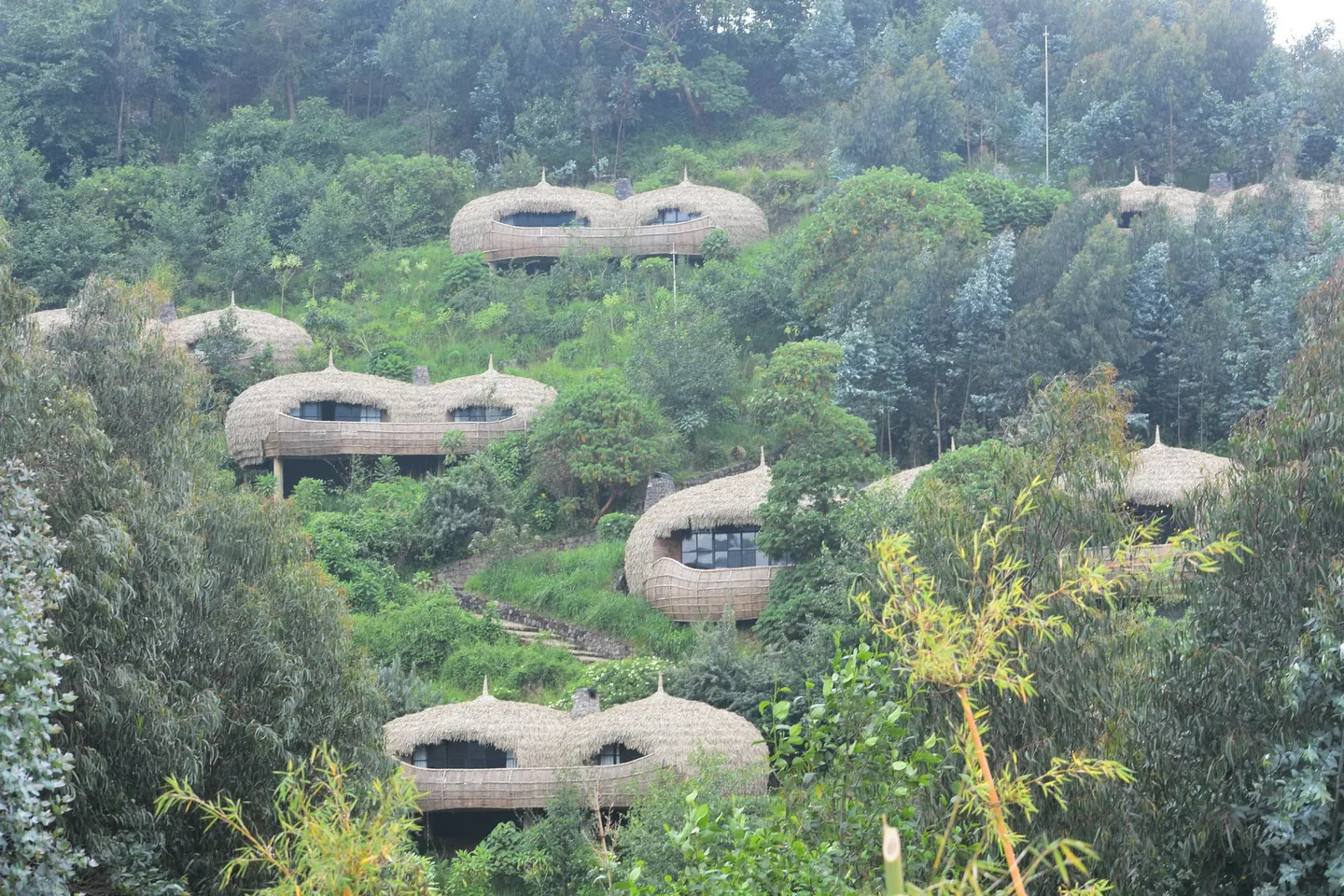 Lodge rooms tucked into a forested hillside