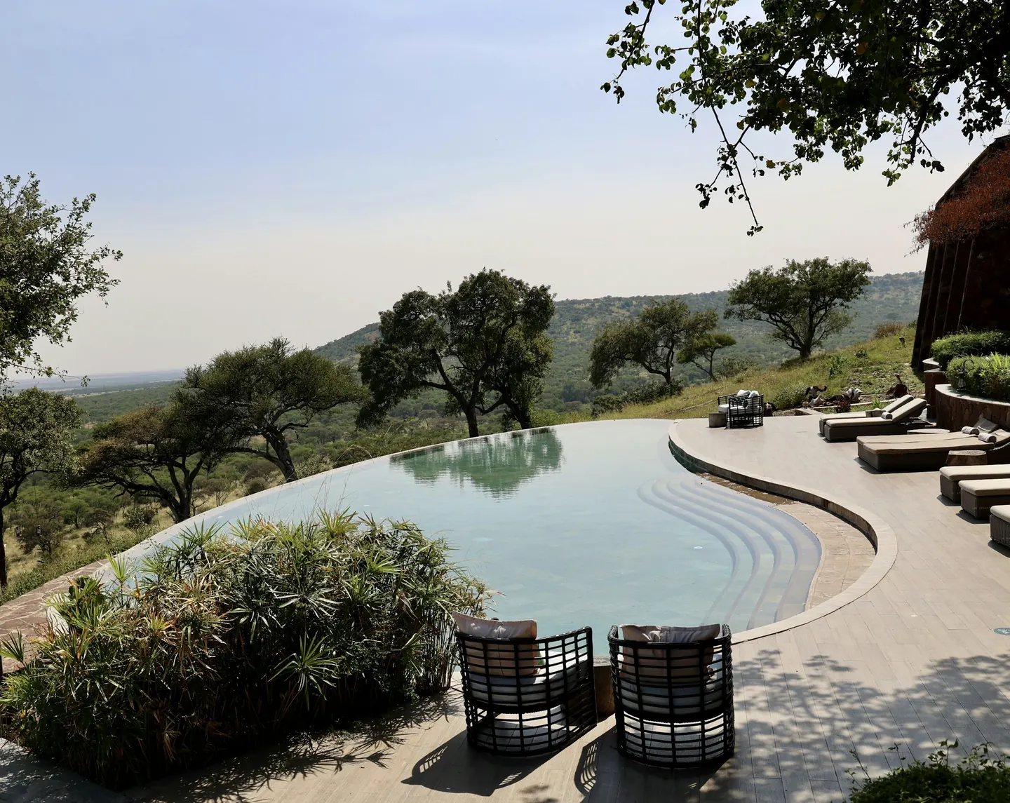 Infinity pool overlooking a wooded valley