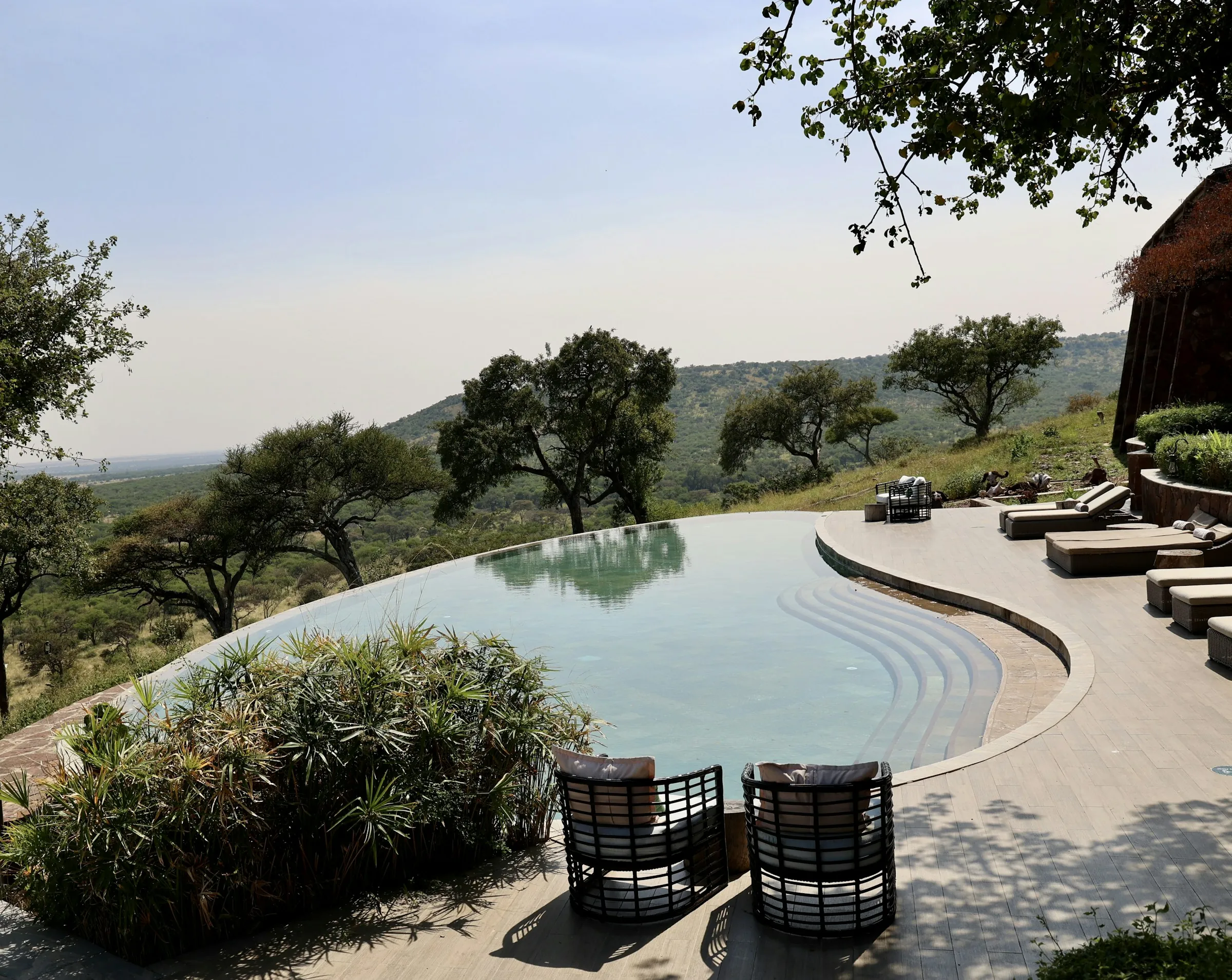 Infinity pool overlooking a wooded valley