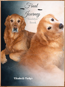 Two golden retrievers on a black page