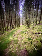 Nature trail