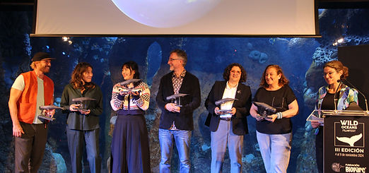 IMG_5075_edited.jpg