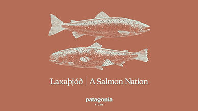 A Salmon Nation poster.jpg