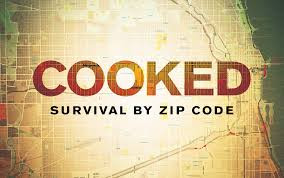 Cooked: Survival by Zip Code poster