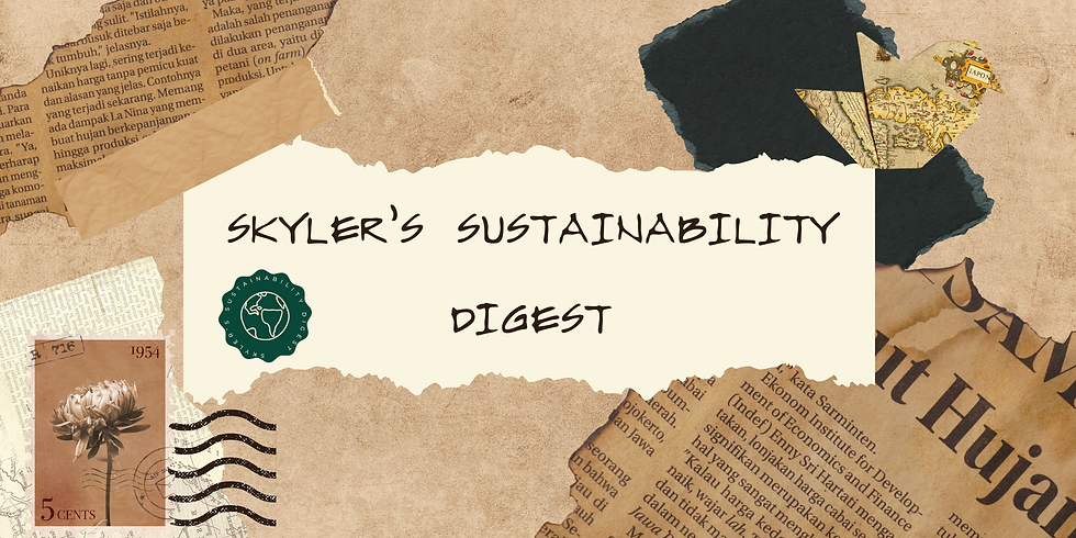 Website Banner (1).png