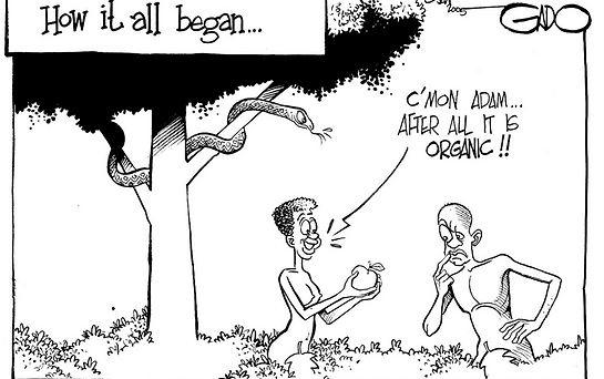 Adam and Eve in the Garden of Eden eating organic forbidden fruit