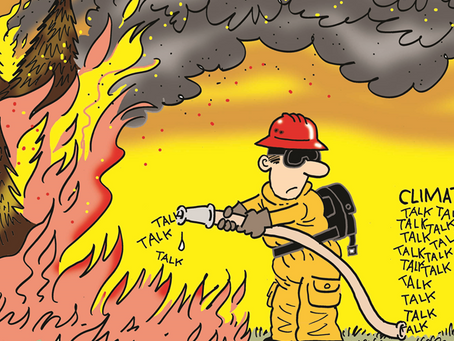 Our world on fire: Less talk, more action