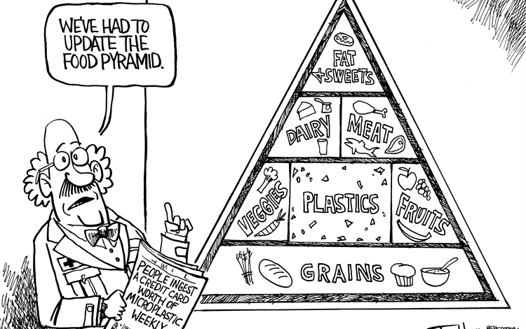 New and Improved Food Pyramid with plastics added between fruits and vegetables