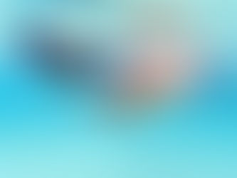 シュノーケリングとは?