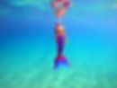 GX016327.MP4.14_32_36_20.静止画001.jpg