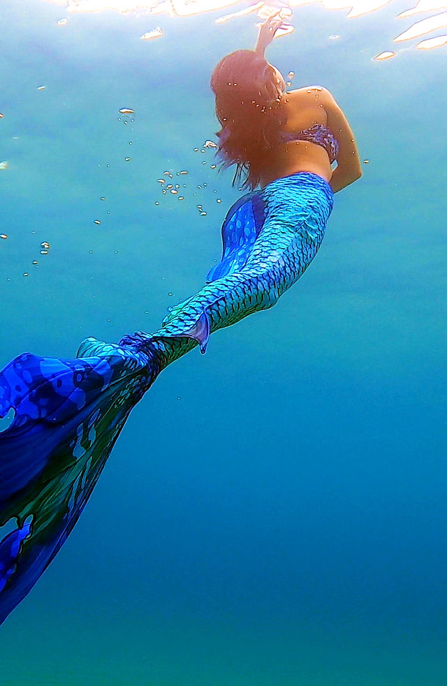 アクアリウム・モデルマーメイドライセンス取得コース | OCEANZ