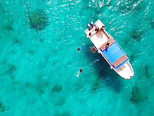 dji_0319.mp4.00_00_08_06.静止画001.png