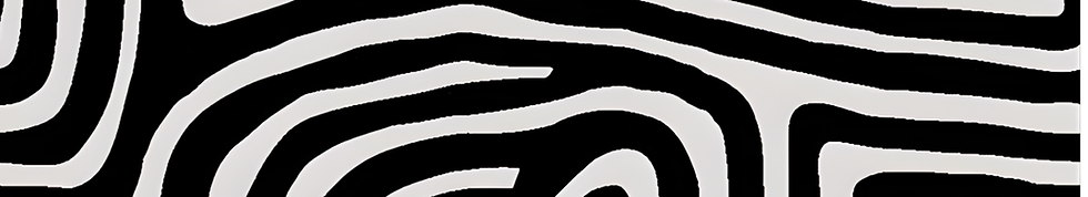 ALTERNATE ROUTES - PATTERN.png