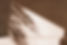 AdobeStock_515652541 (1).jpeg
