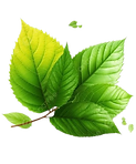 images__1_-removebg-preview (3).png