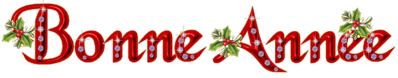 bonne année.gif