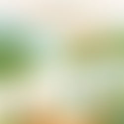 CONCURSO SEMBRANDO REDES 2026 – IALE Chile