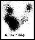 toxic_mng_c.jpg