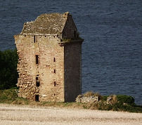 Picture1.jpg