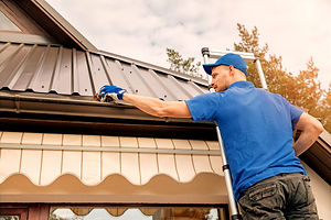 Professional Gutter Cleaning Knoxville_edited.jpg