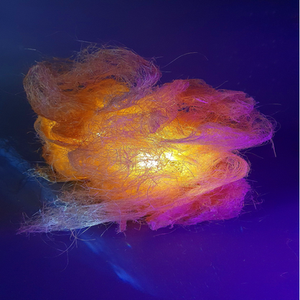 THE LIGHT OF AWAKENING February, 2026