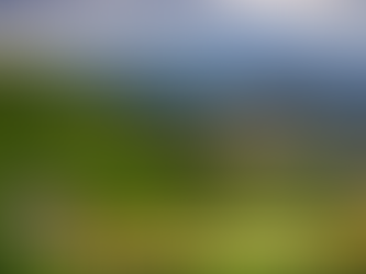 RÚT NGẮN QUY TRÌNH CHUYỂN MỤC ĐÍCH SỬ DỤNG ĐẤT NHỜ BỎ BƯỚC CHẤP THUẬN CHỦ TRƯƠNG ĐẦU TƯ