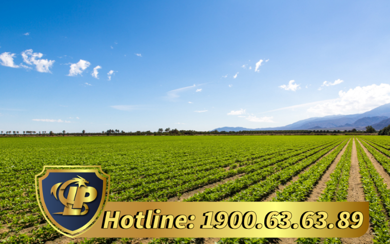 Nơi nộp hồ sơ và cơ quan giải quyết