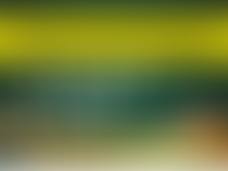 TẦM QUAN TRỌNG CỦA GIẤY CHỨNG NHẬN HỢP CHUẨN SẢN PHẨM