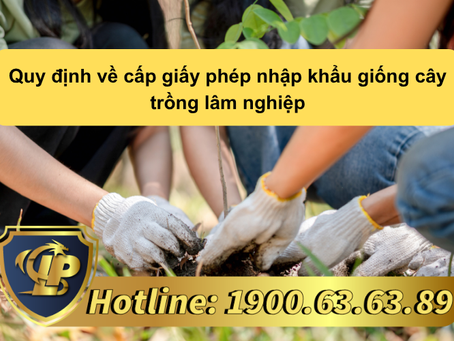 QUY ĐỊNH VỀ CẤP GIẤY PHÉP NHẬP KHẨU GIỐNG CÂY TRỒNG LÂM NGHIỆP