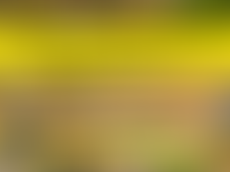 QUY TRÌNH ĐIỀU CHỈNH THỜI HẠN SỬ DỤNG ĐẤT ĐỐI VỚI DỰ ÁN ĐẦU TƯ